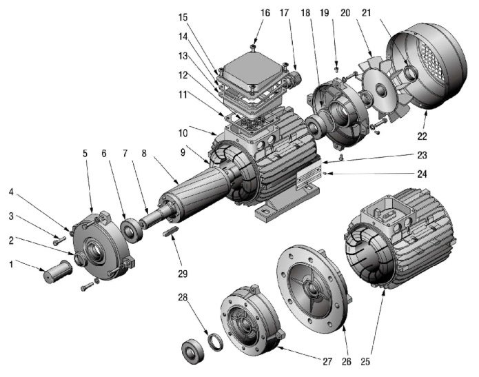 Конструкция электродвигателя ABLE MS. Исполнение IMB3