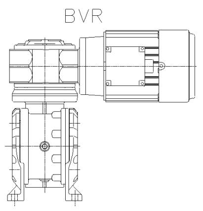 BVL-BVR
